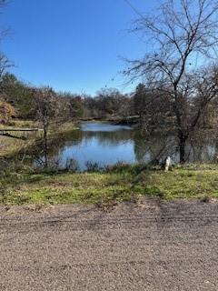Lot 15,16 Loper Drive Streetman TX 75859