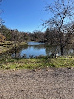 Lot 15,16 Loper Drive Streetman TX 75859