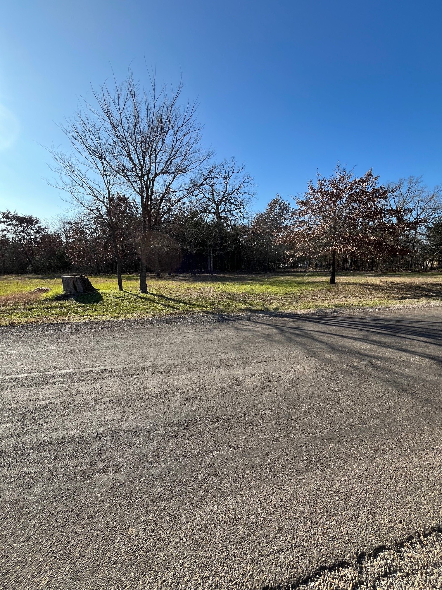 Lot 15,16 Loper Drive Streetman TX 75859