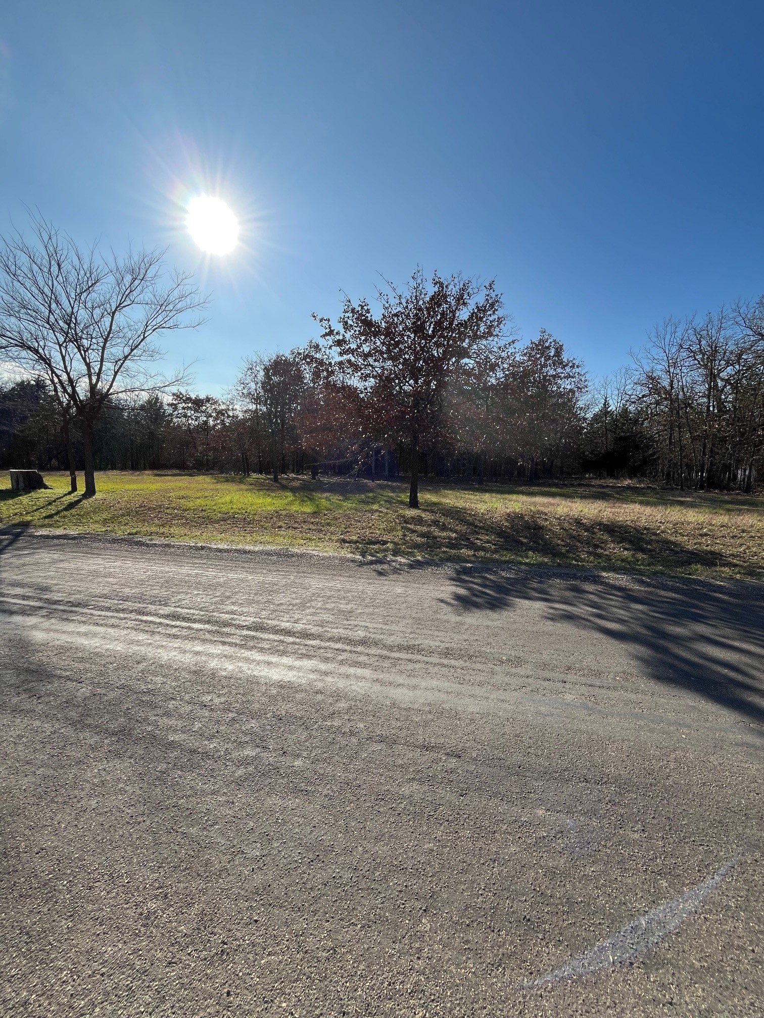 Lot 15,16 Loper Drive Streetman TX 75859