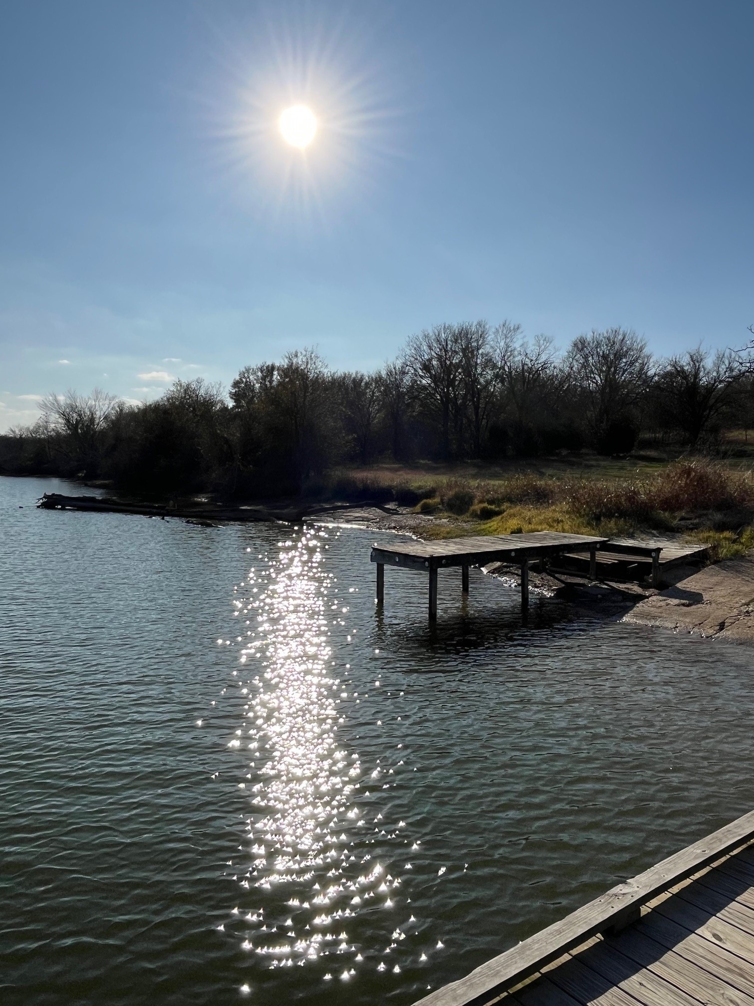 Lot 15,16 Loper Drive Streetman TX 75859