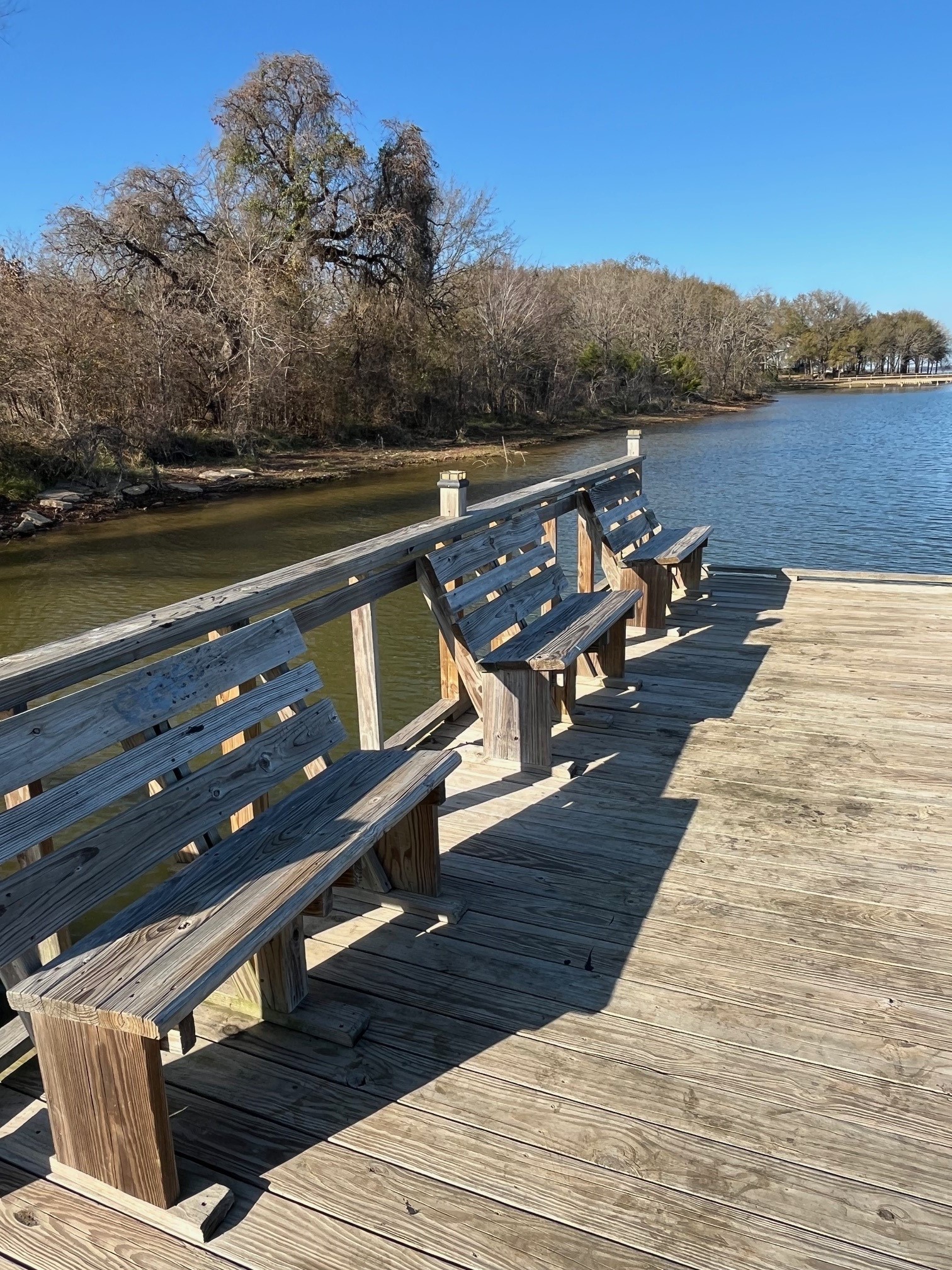 Lot 15,16 Loper Drive Streetman TX 75859