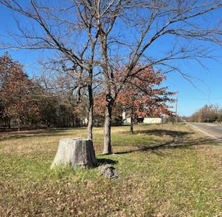 Lot 15,16 Loper Drive Streetman TX 75859