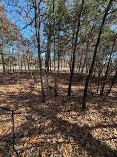 Lot 15,16 Loper Drive Streetman TX 75859