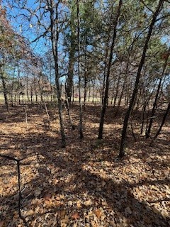Lot 15,16 Loper Drive Streetman TX 75859