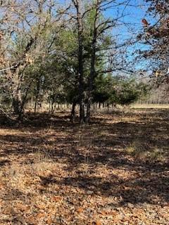 Lot 15,16 Loper Drive Streetman TX 75859