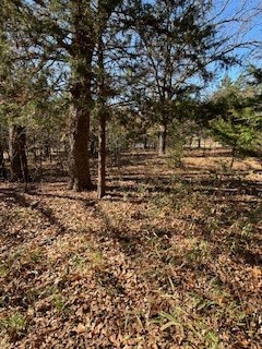Lot 15,16 Loper Drive Streetman TX 75859