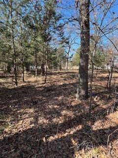 Lot 15,16 Loper Drive Streetman TX 75859