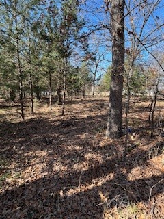 Lot 15,16 Loper Drive Streetman TX 75859