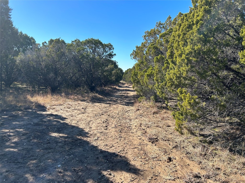 330 Fort Graham Road Whitney TX 76692