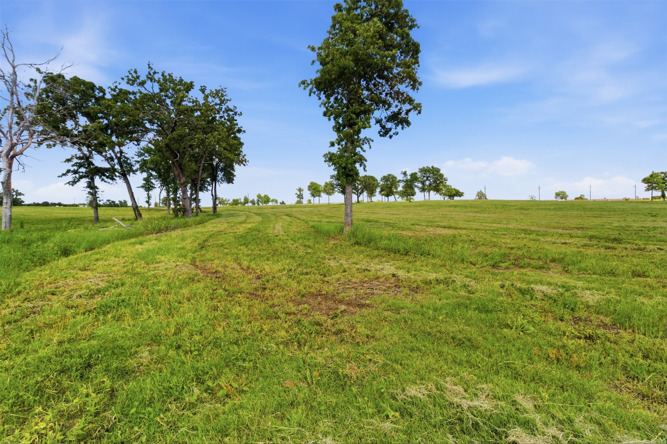 215 Lakeshore Terrace Windom TX 75492