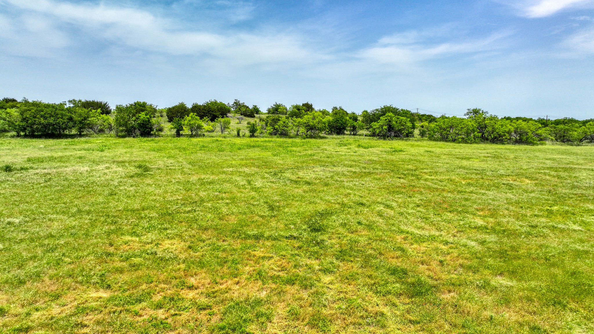 1045 Goodnight Trail Perrin TX 76486