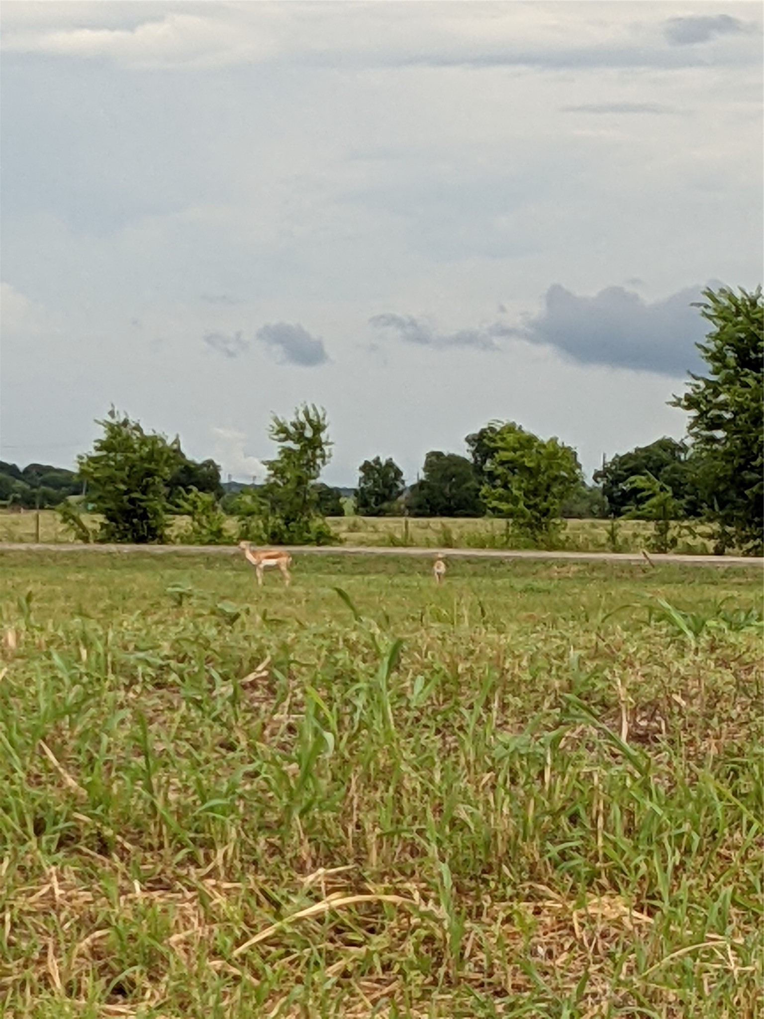 705 County Road 201 Marlin TX 76661