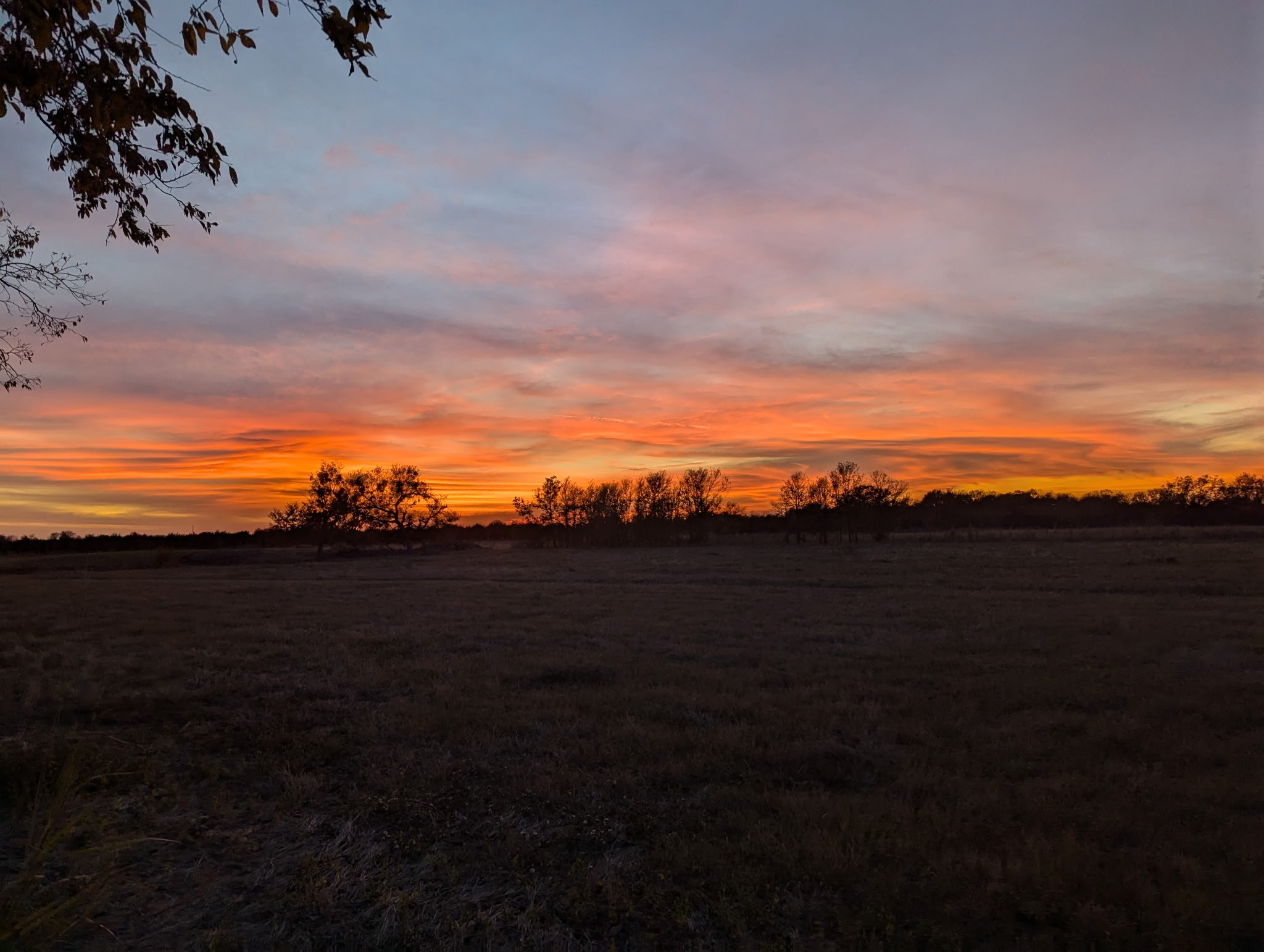 705 County Road 201 Marlin TX 76661