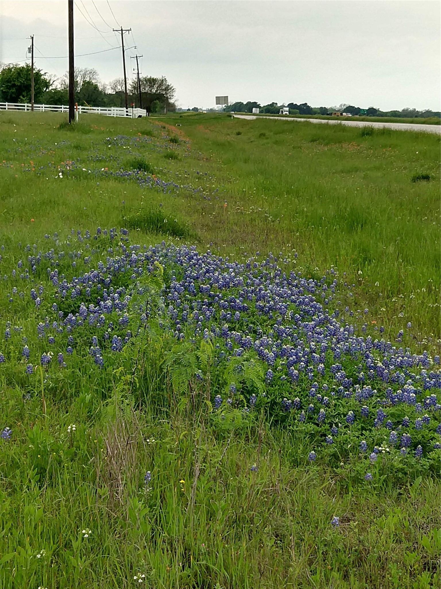 705 County Road 201 Marlin TX 76661