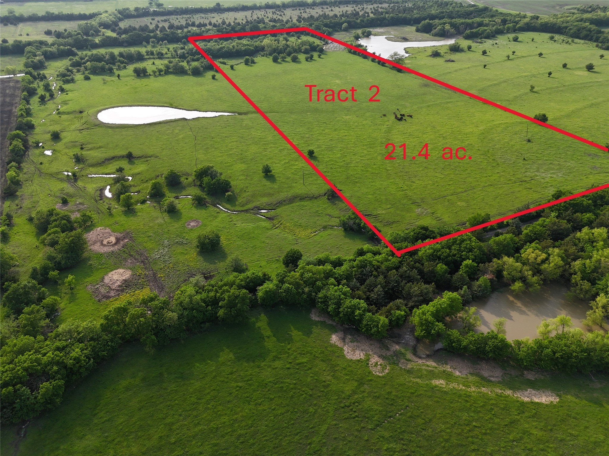 Tbd Cr 4841 Tract 2 Leonard TX 75452
