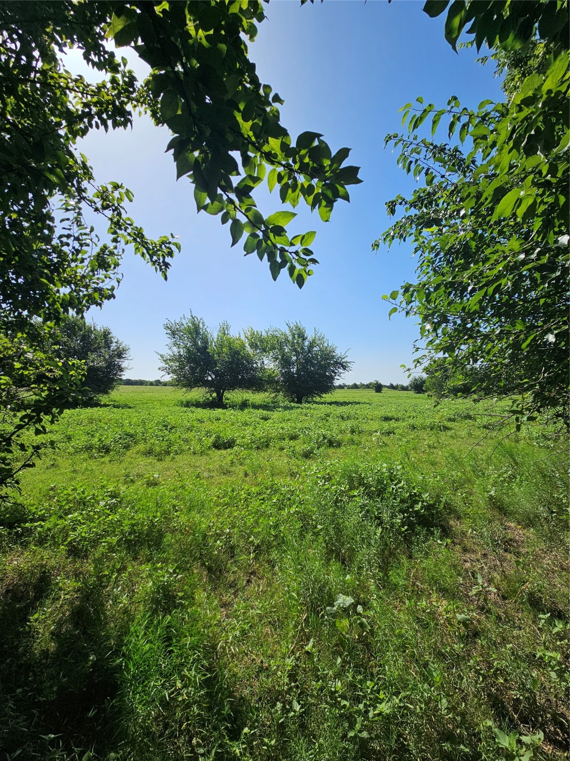 Tbd Cr 4841 Tract 2 Leonard TX 75452