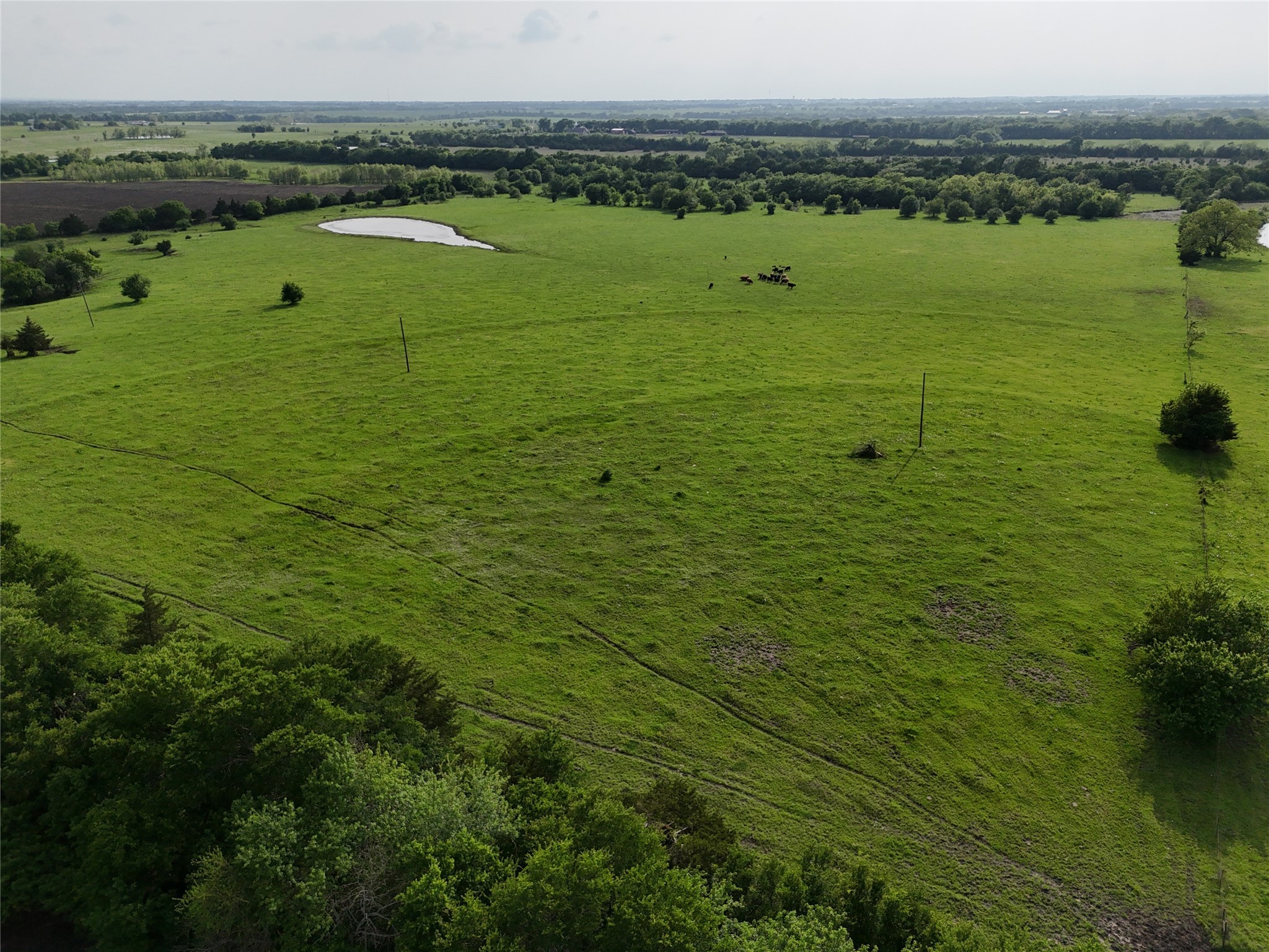 Tbd Cr 4841 Tract 2 Leonard TX 75452