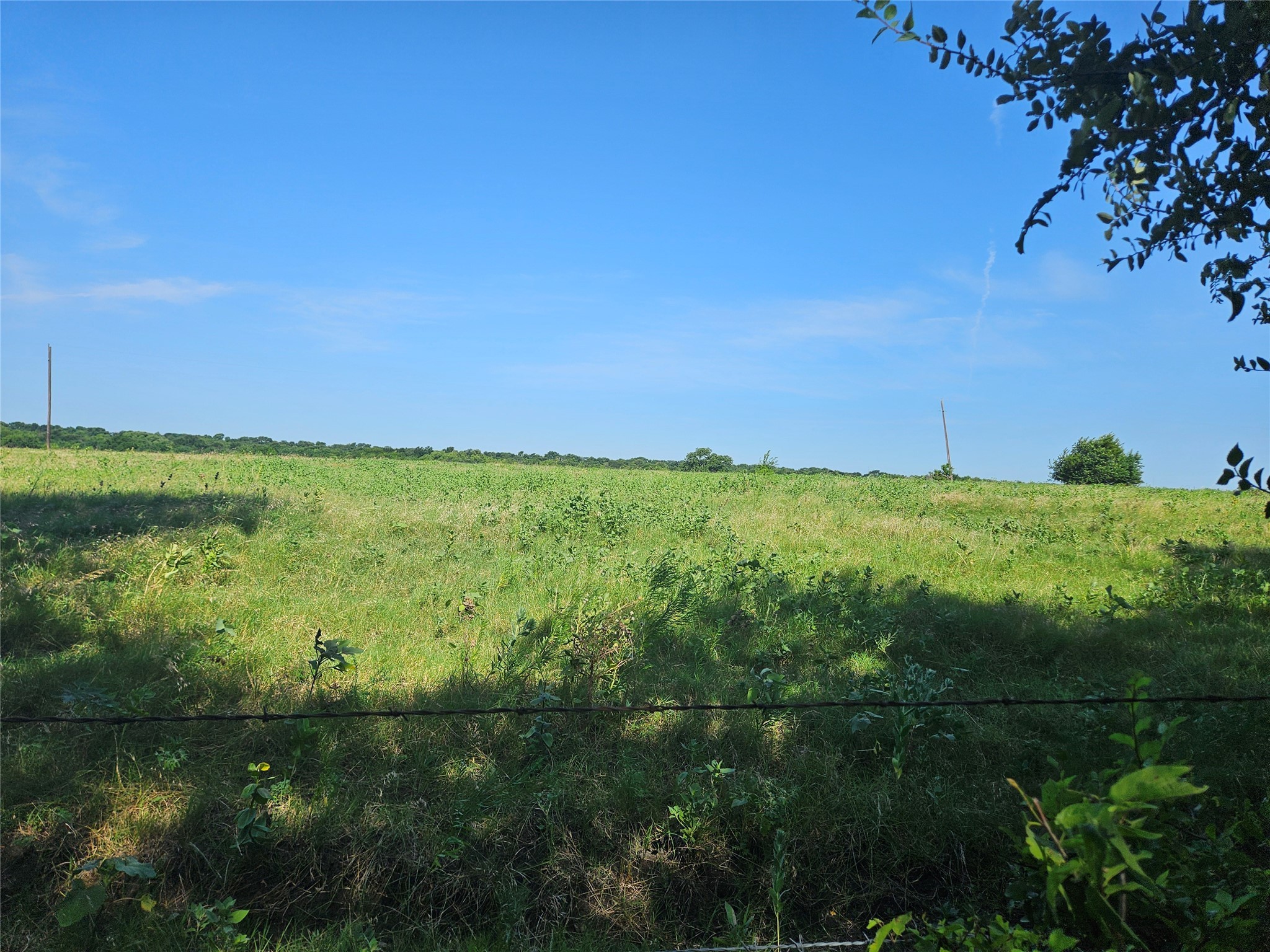 Tbd Cr 4841 Tract 2 Leonard TX 75452