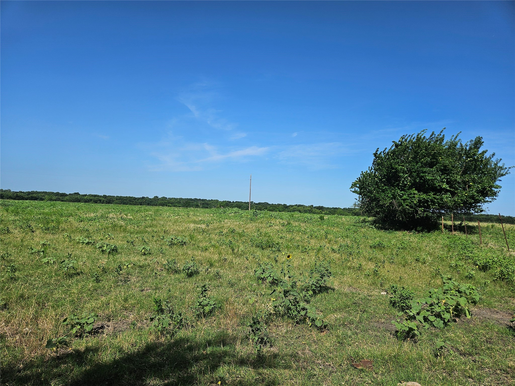 Tbd Cr 4841 Tract 2 Leonard TX 75452