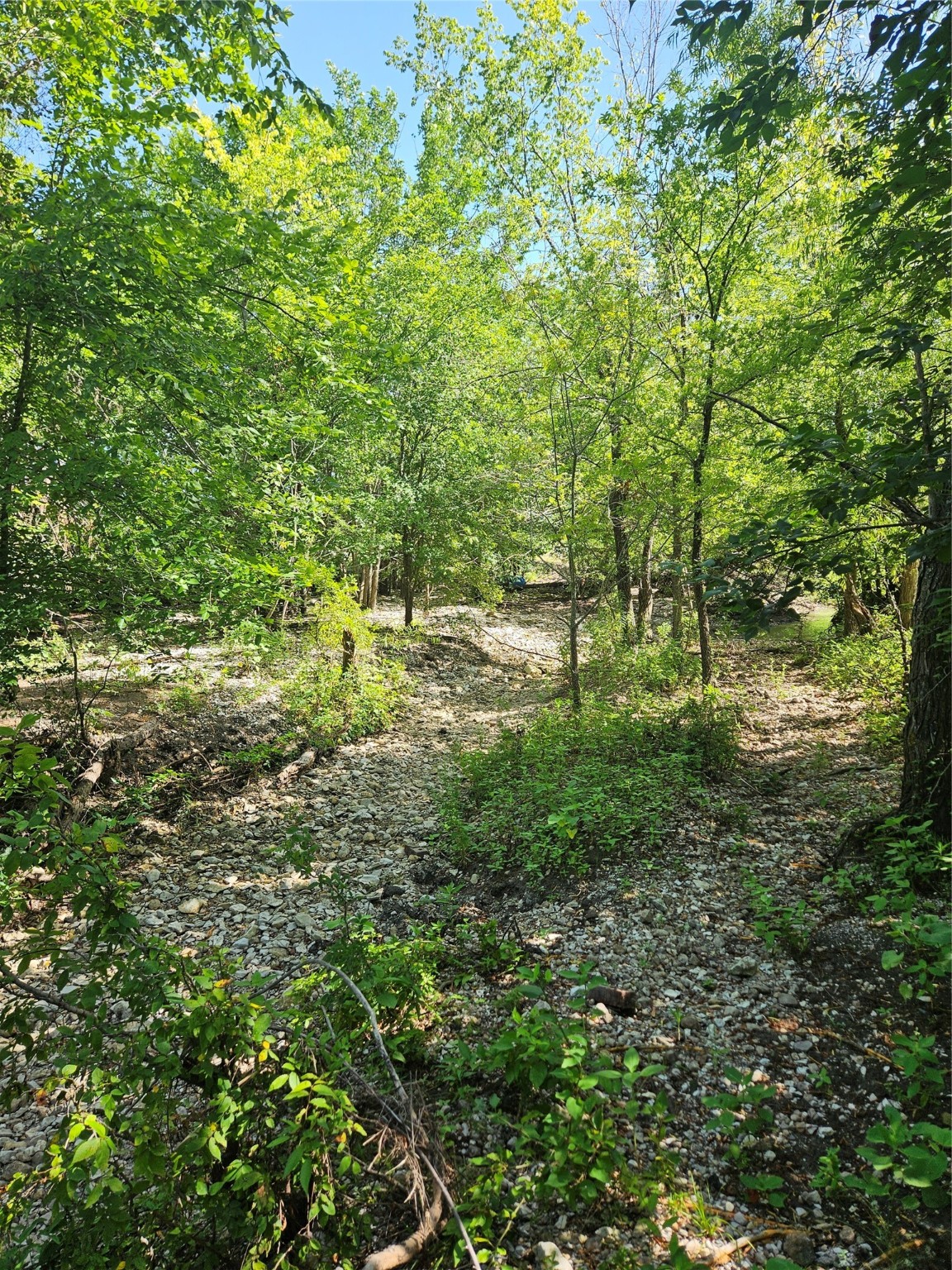 Tbd Cr 4841 Tract 2 Leonard TX 75452