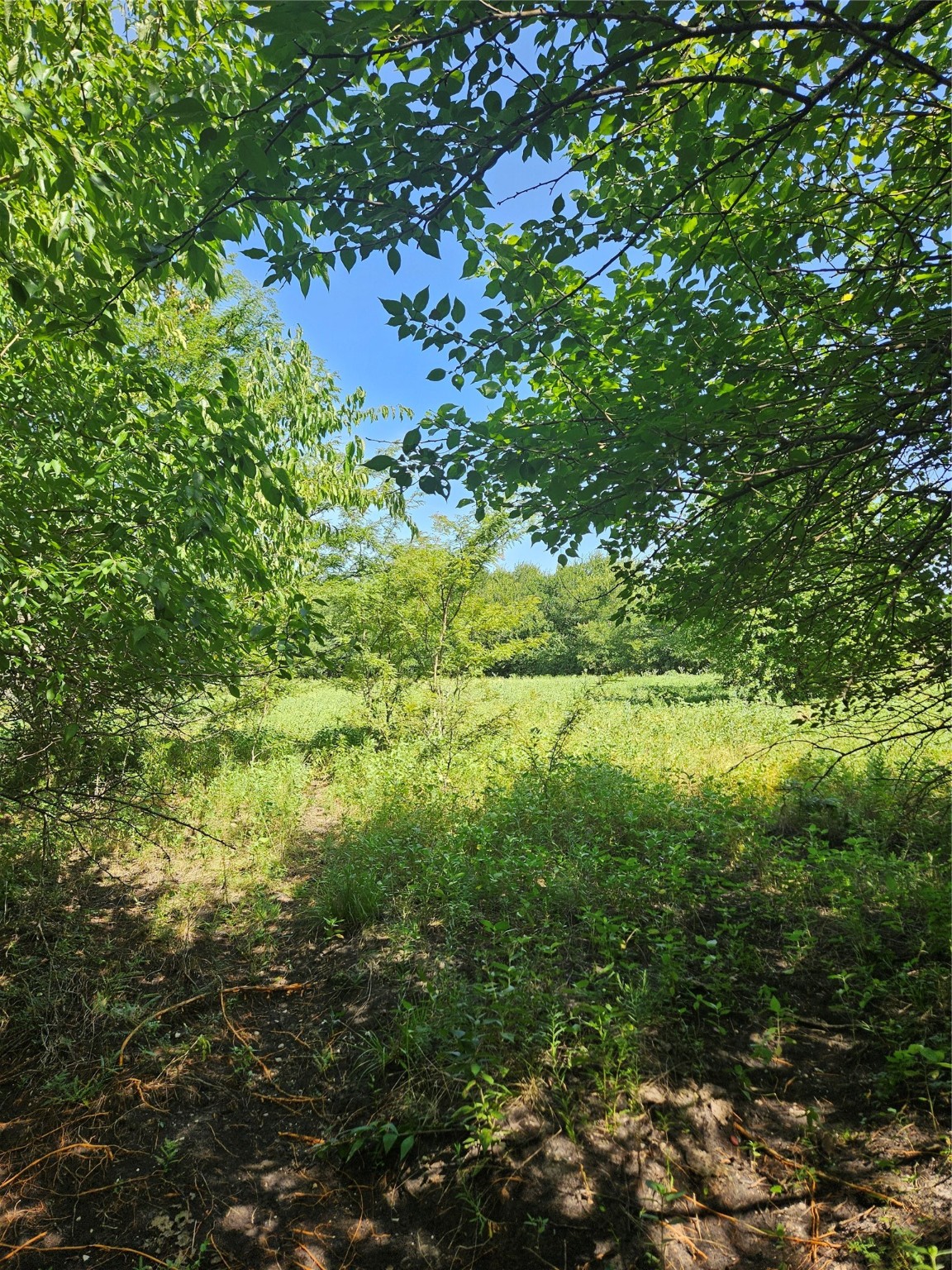 Tbd Cr 4841 Tract 2 Leonard TX 75452