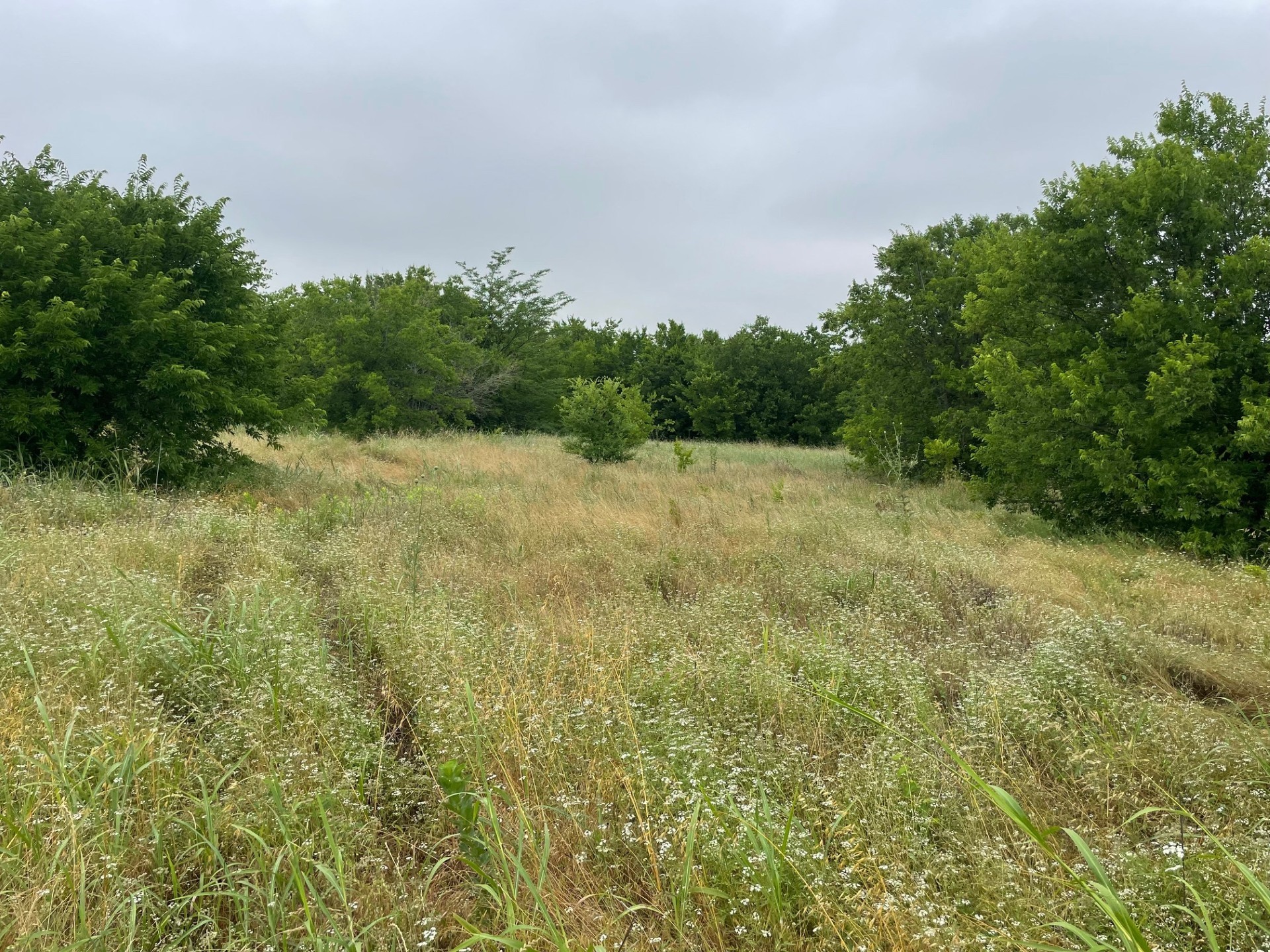 139 Cr-4713 Rhome TX 76078