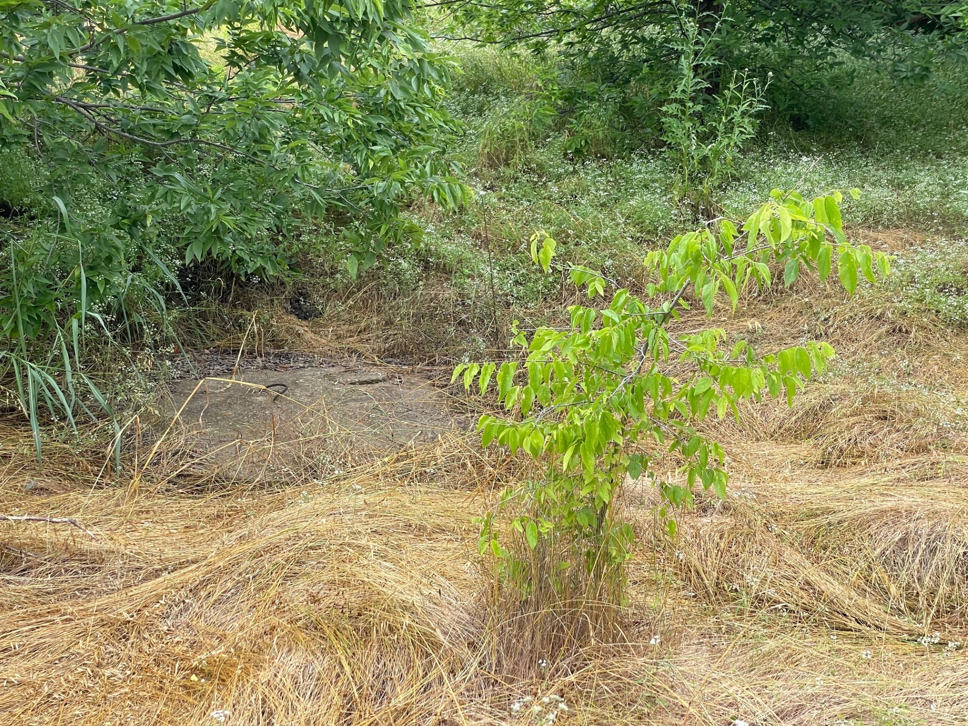 139 Cr-4713 Rhome TX 76078