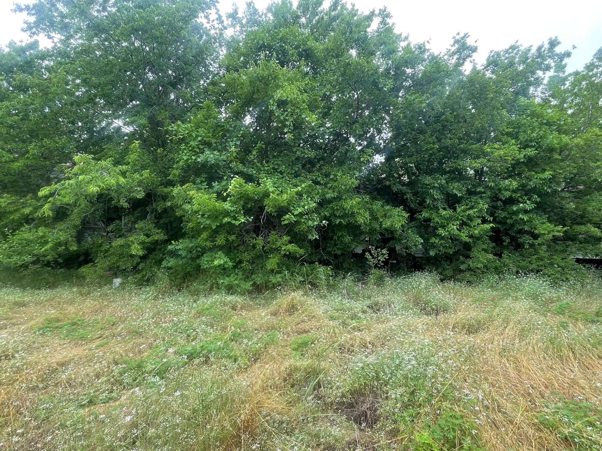 139 Cr-4713 Rhome TX 76078