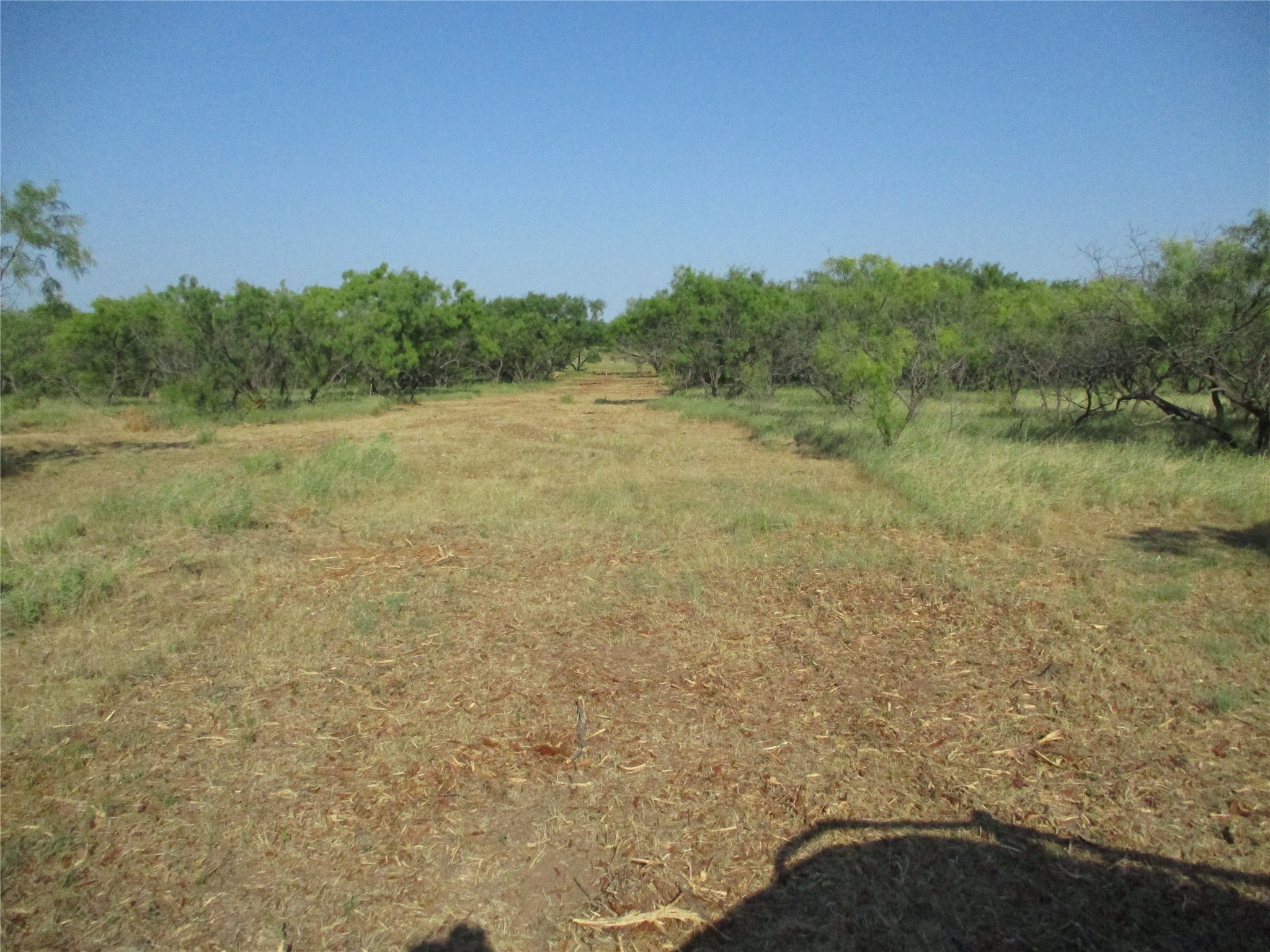 Trail 2 Big Sandy Bowie TX 76230