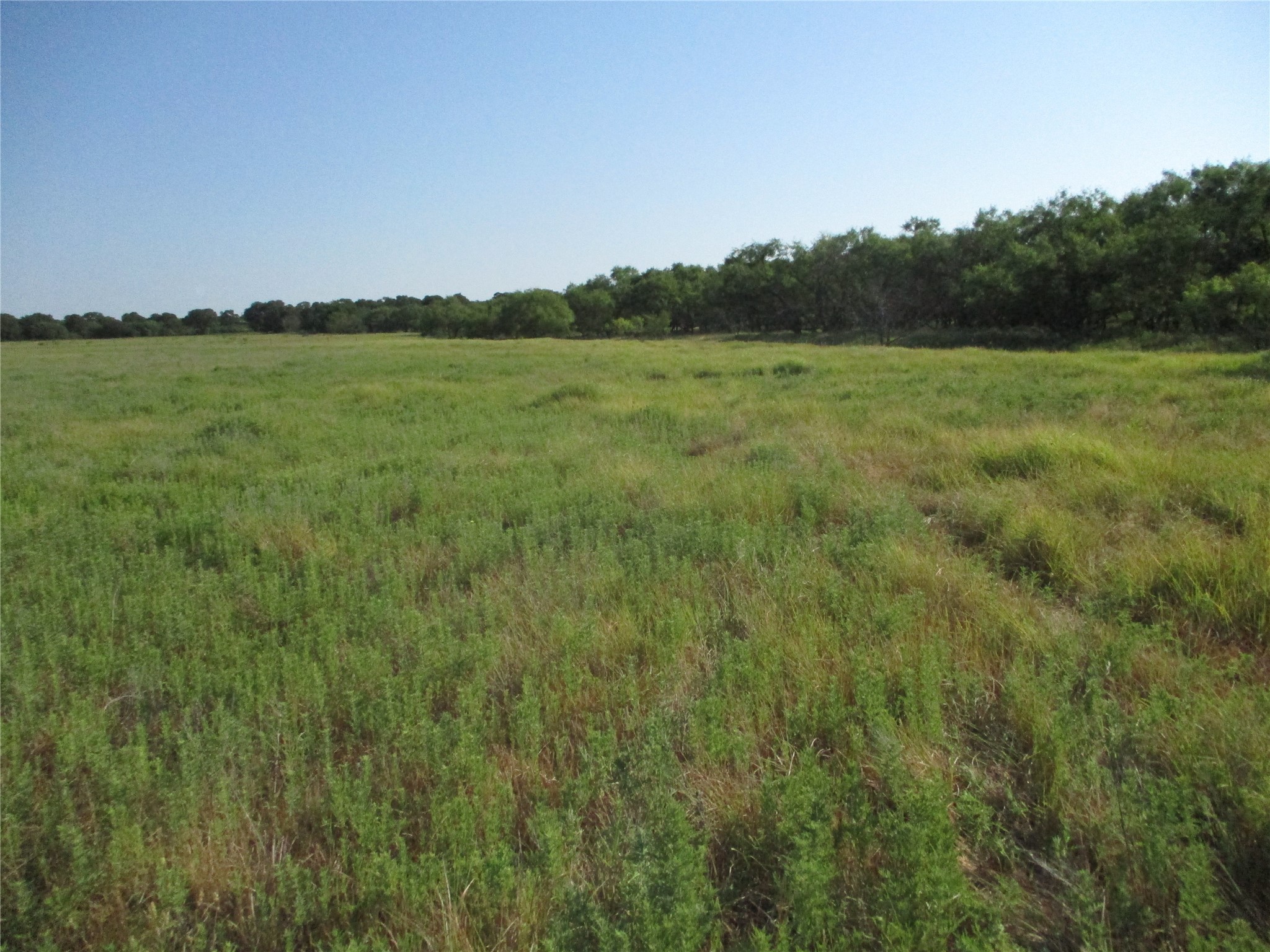 Trail 2 Big Sandy Bowie TX 76230
