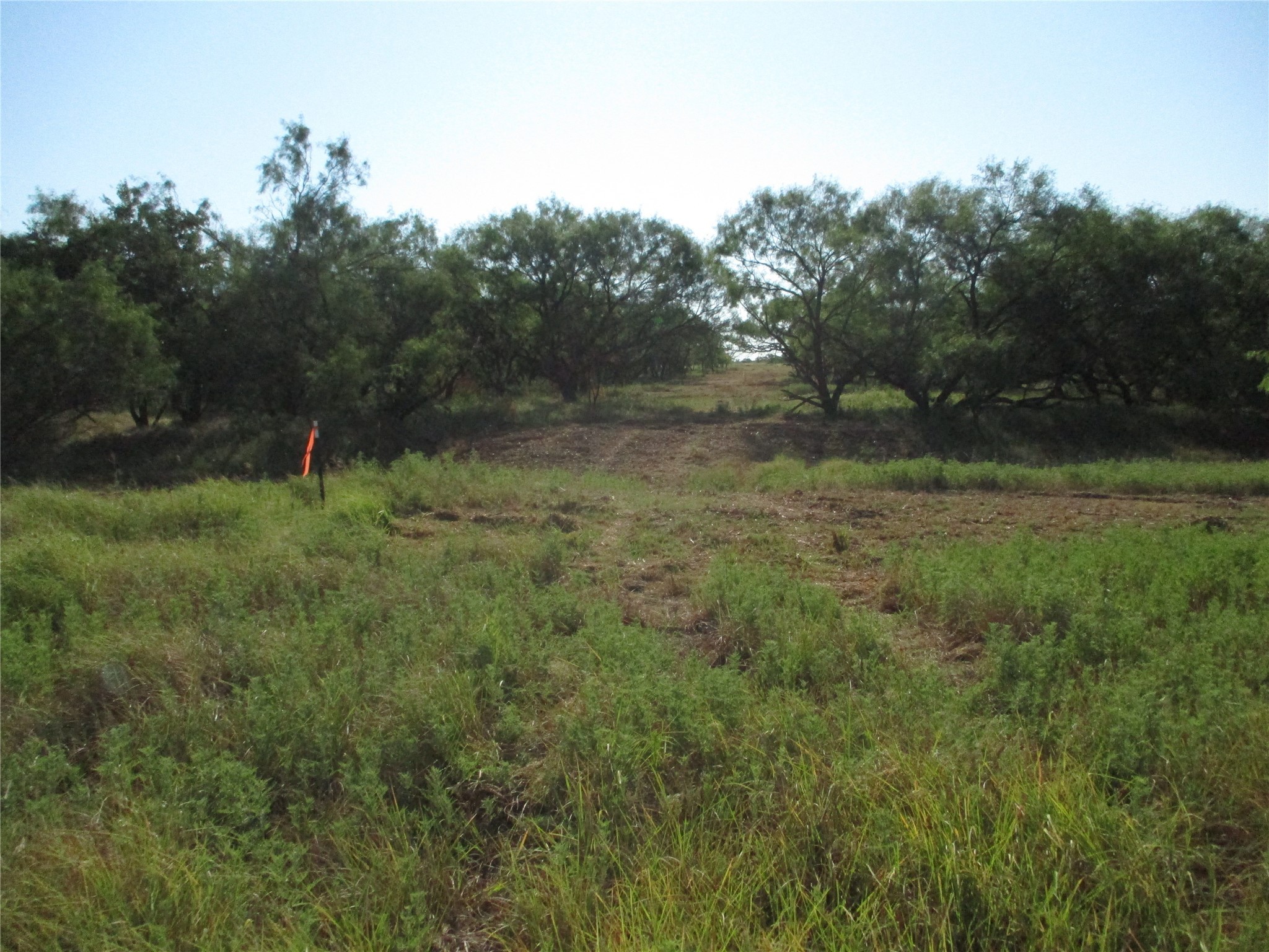 Trail 2 Big Sandy Bowie TX 76230