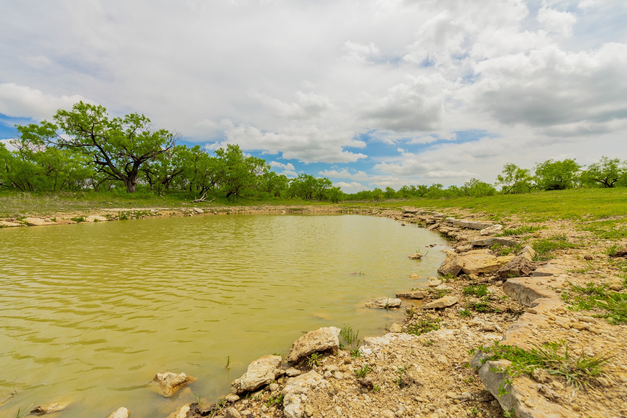 817 County Road 130 Ballinger TX 76882