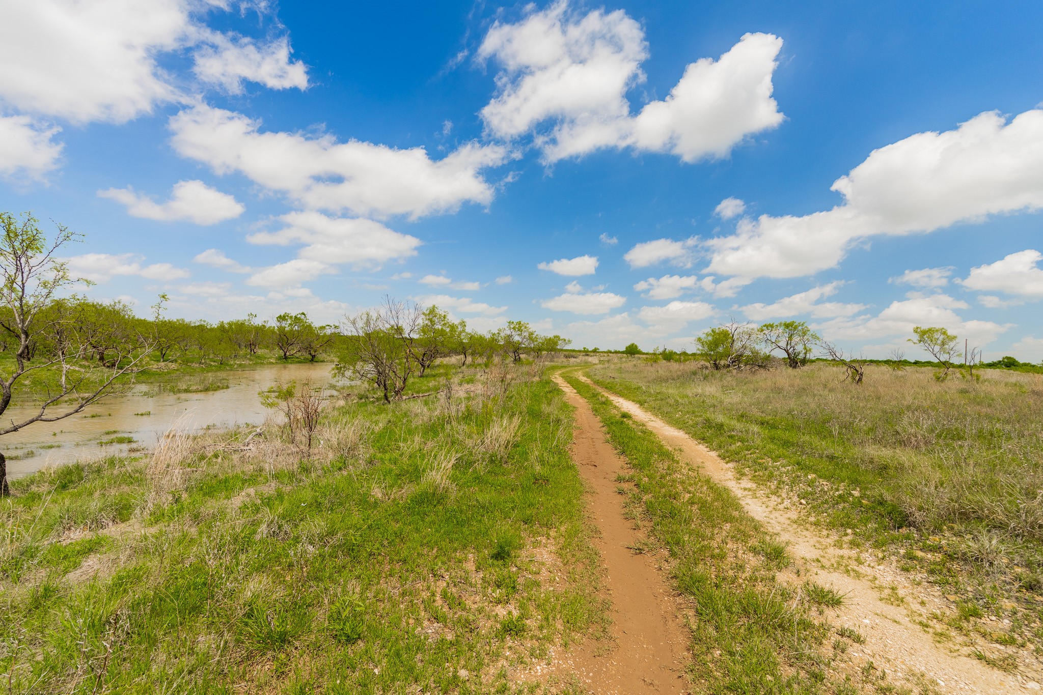 817 County Road 130 Ballinger TX 76882
