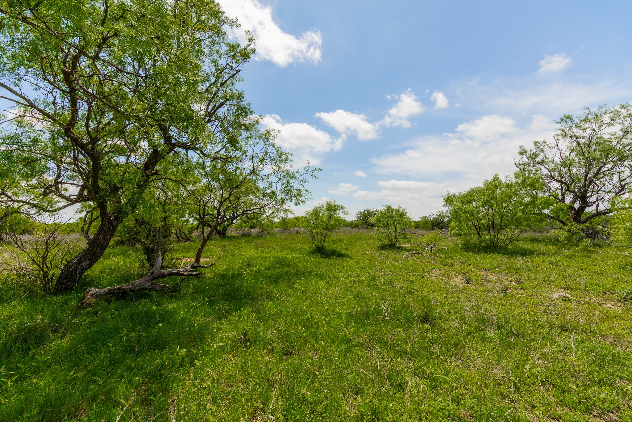 817 County Road 130 Ballinger TX 76882