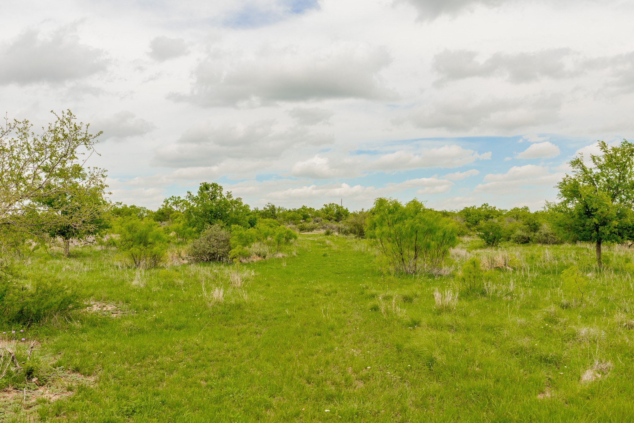 817 County Road 130 Ballinger TX 76882