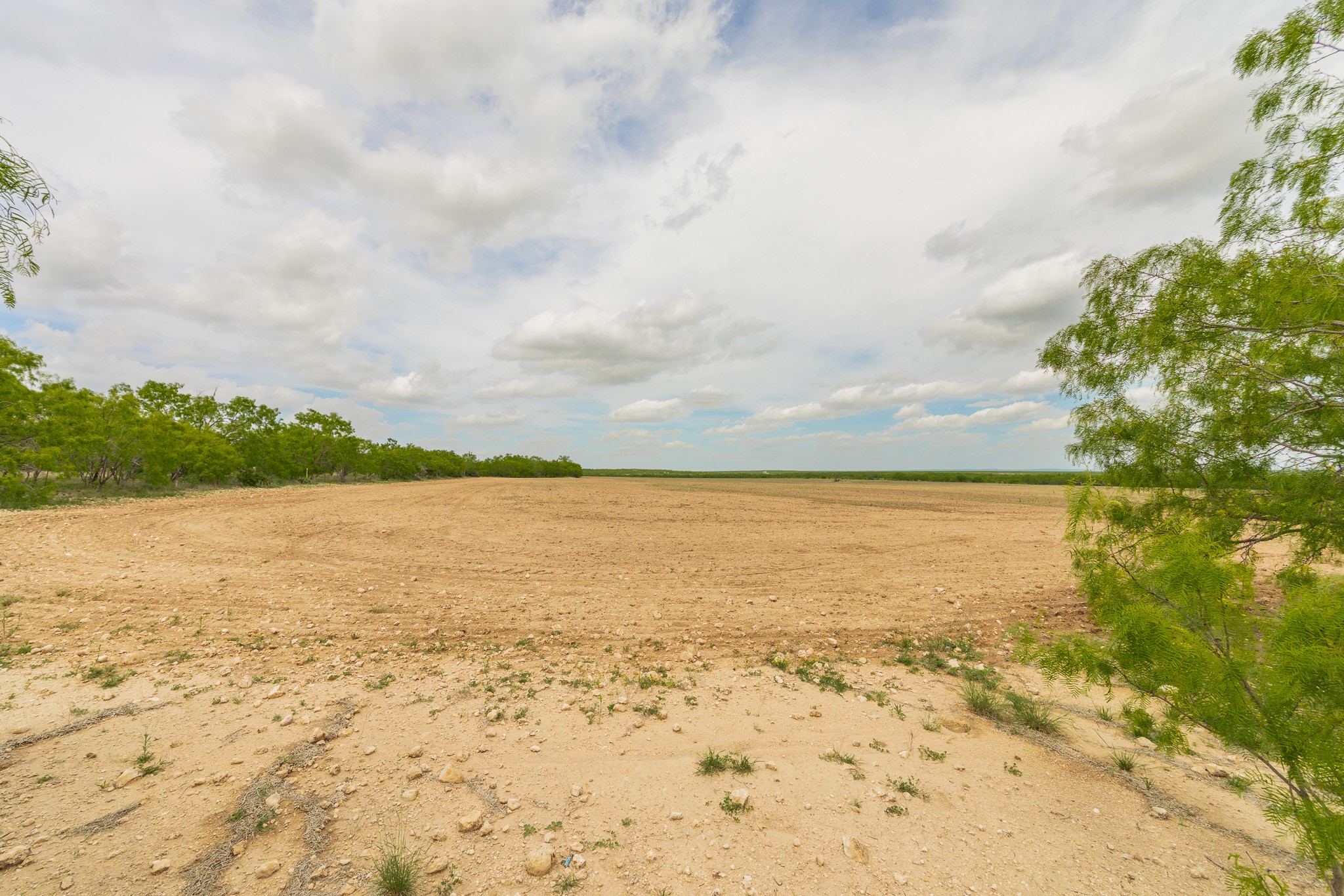 817 County Road 130 Ballinger TX 76882