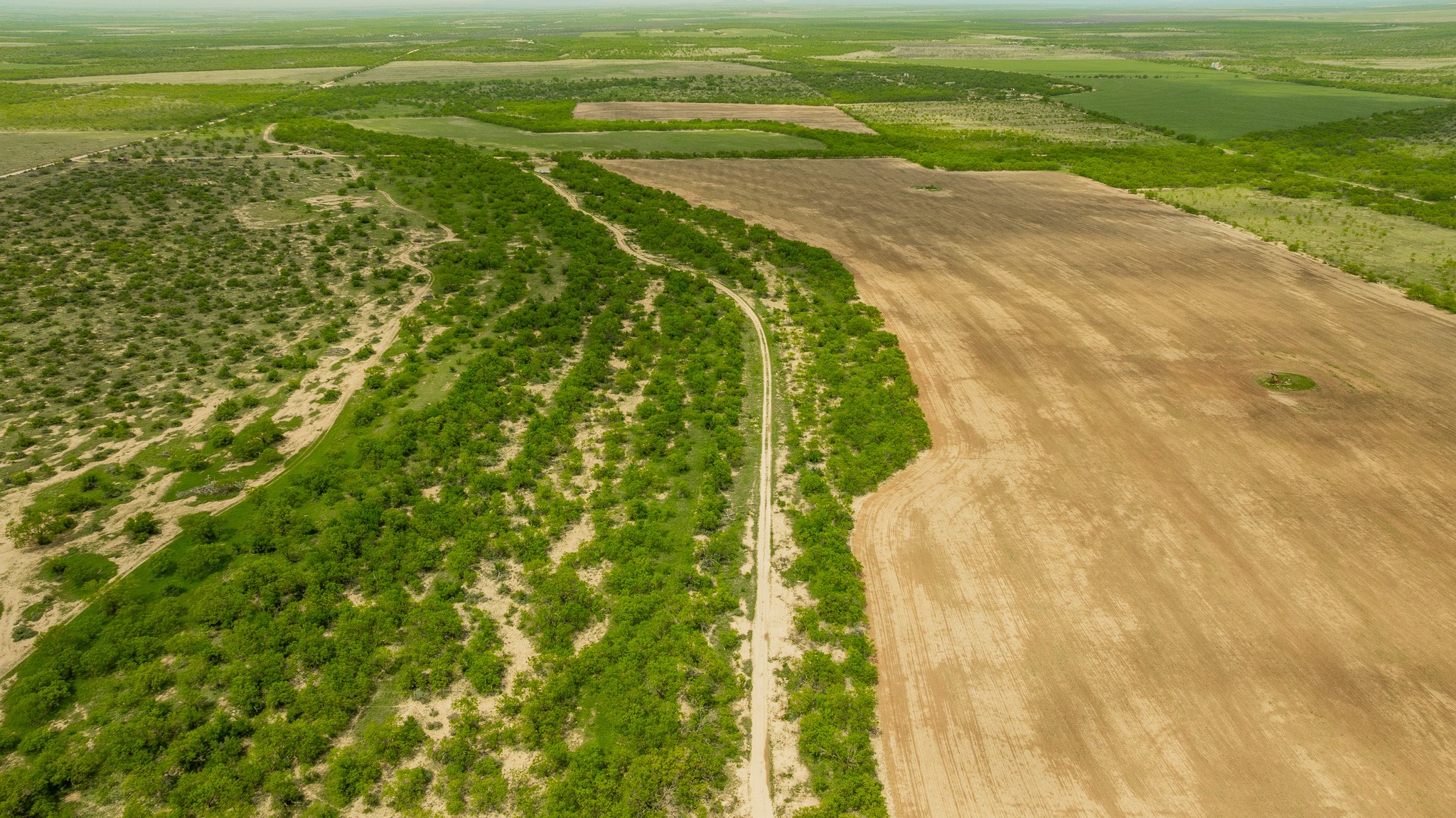 817 County Road 130 Ballinger TX 76882
