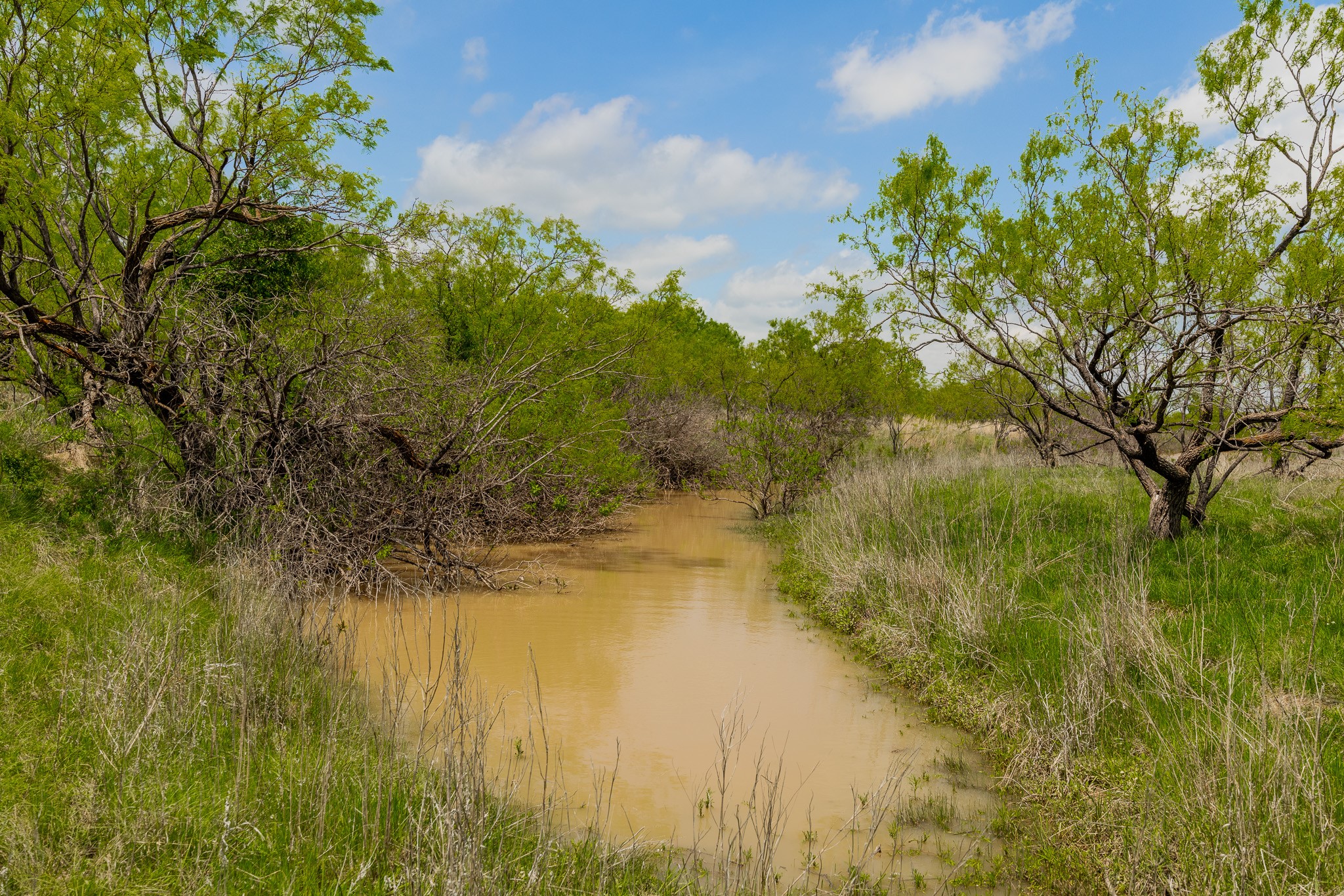 817 County Road 130 Ballinger TX 76882