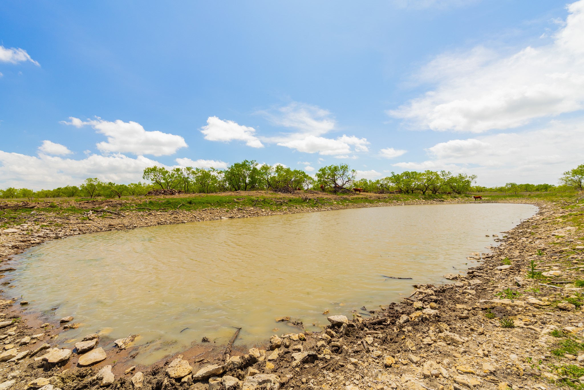 817 County Road 130 Ballinger TX 76882