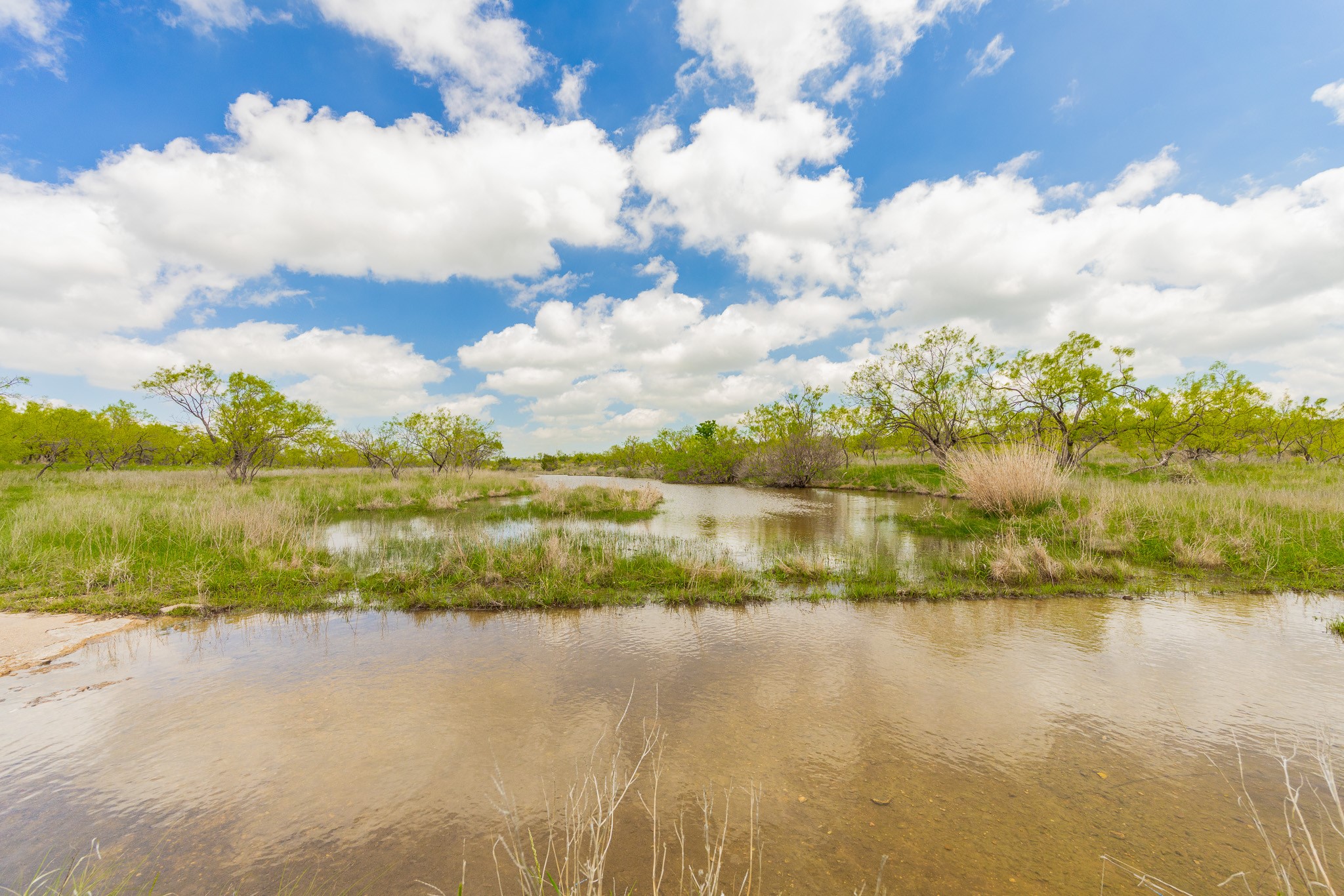 817 County Road 130 Ballinger TX 76882