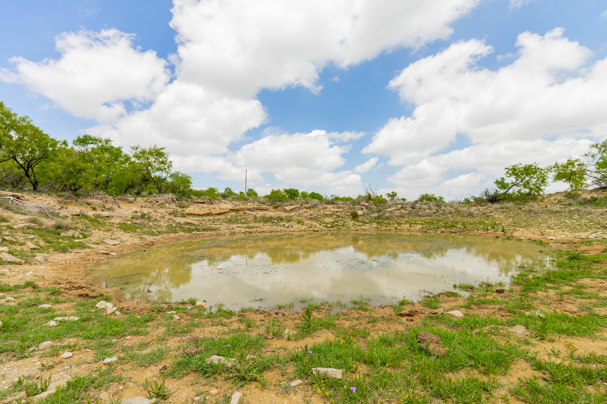 817 County Road 130 Ballinger TX 76882