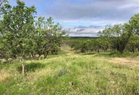 172 Fm 601 Albany TX 76430
