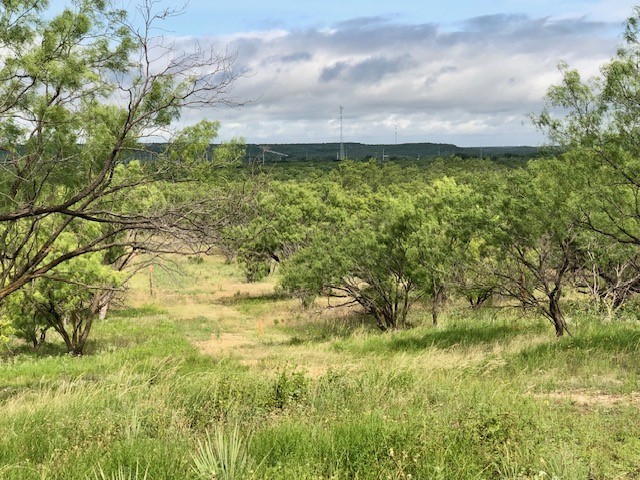 172 Fm 601 Albany TX 76430
