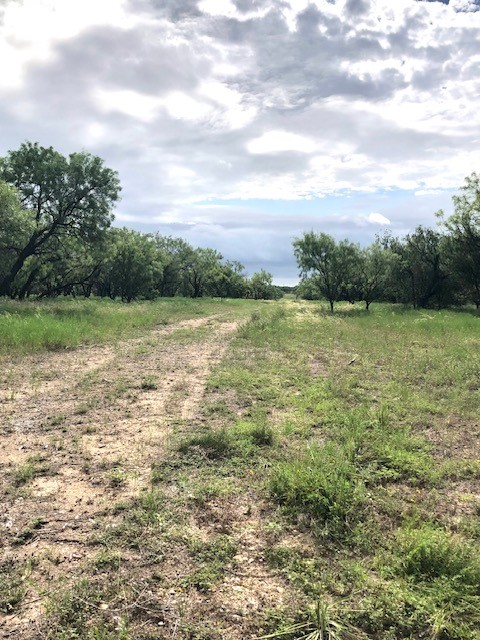 172 Fm 601 Albany TX 76430
