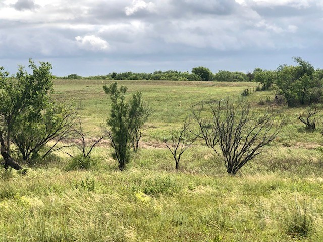 172 Fm 601 Albany TX 76430