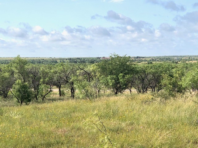 172 Fm 601 Albany TX 76430