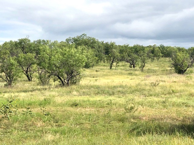 172 Fm 601 Albany TX 76430