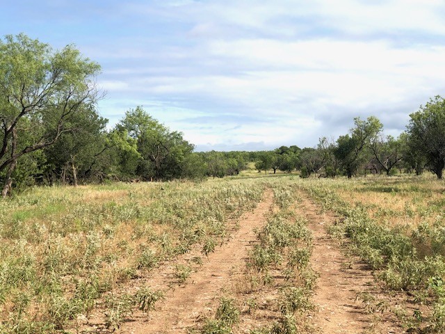 172 Fm 601 Albany TX 76430