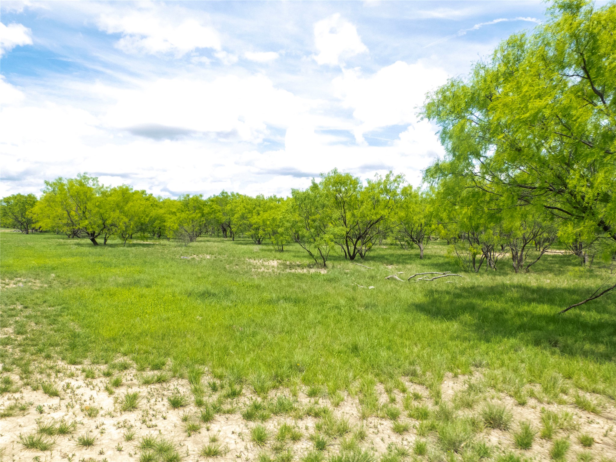 Tbd County Road 205 No City TX 76823